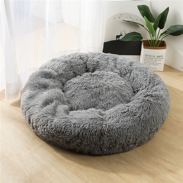 Dog and Puppy Beds
