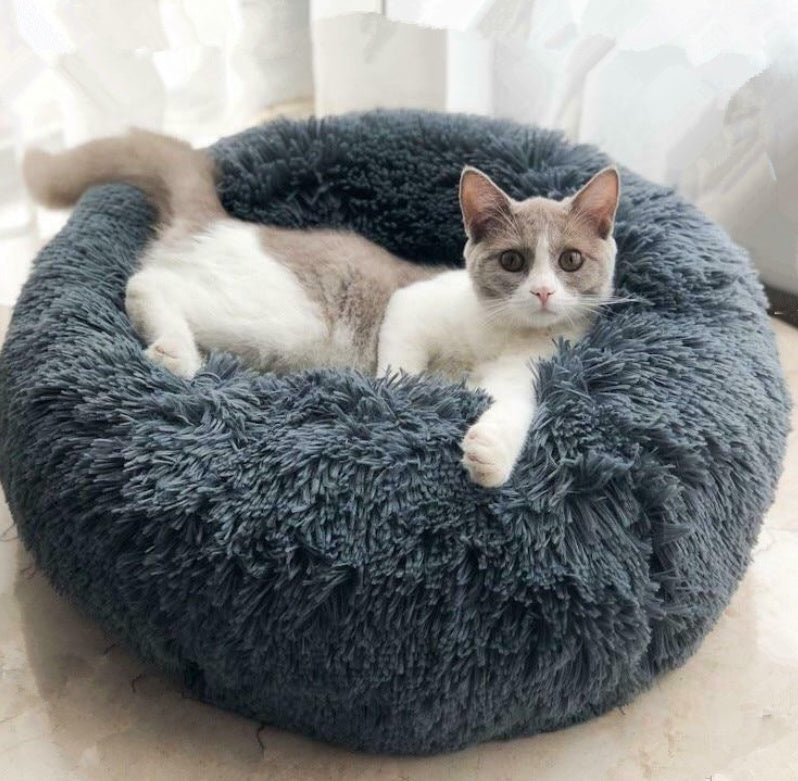 Dog and Puppy Beds