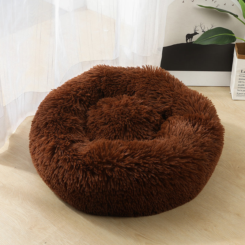 Dog and Puppy Beds