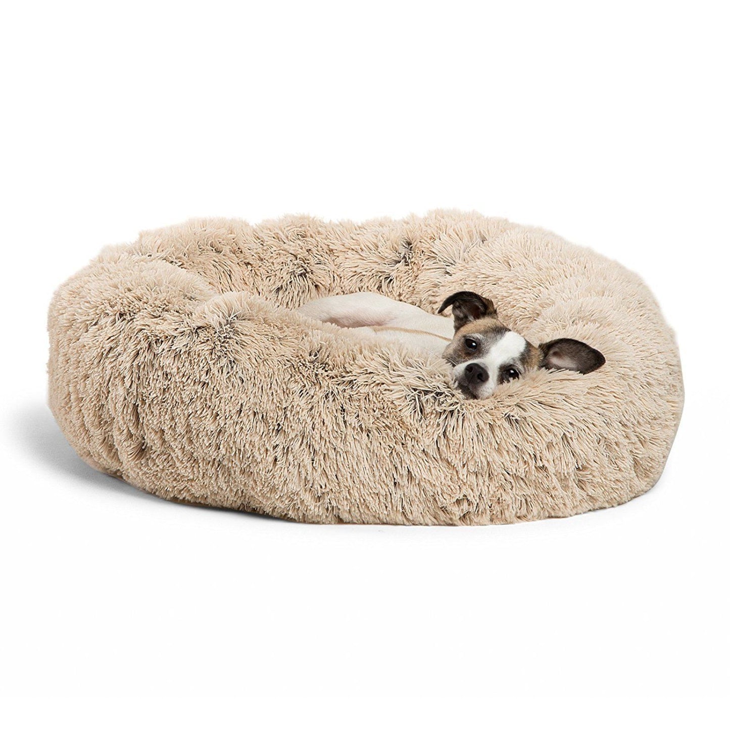 Dog and Puppy Beds