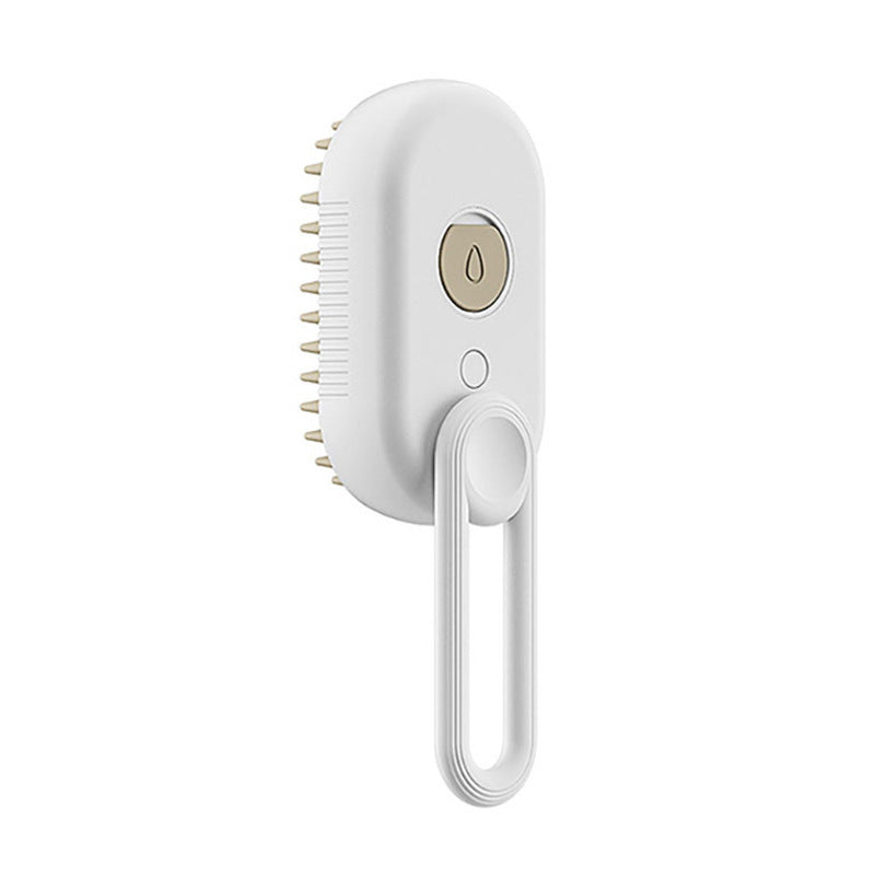 Electric message Brush with Steam Spray