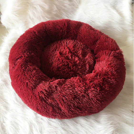 Dog and Puppy Beds